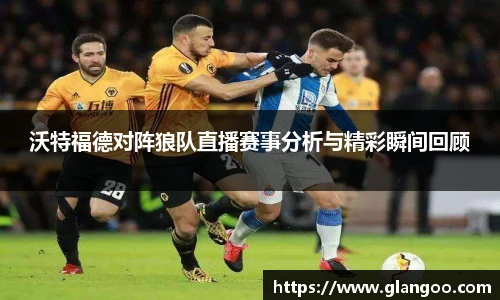 沃特福德对阵狼队直播赛事分析与精彩瞬间回顾